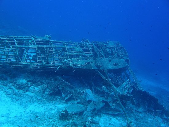 Българските търговски кораби 